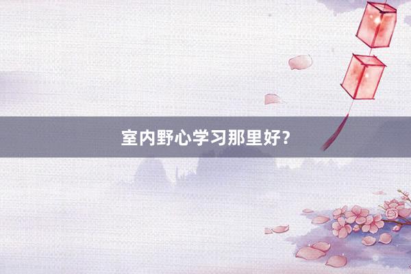 室内野心学习那里好？