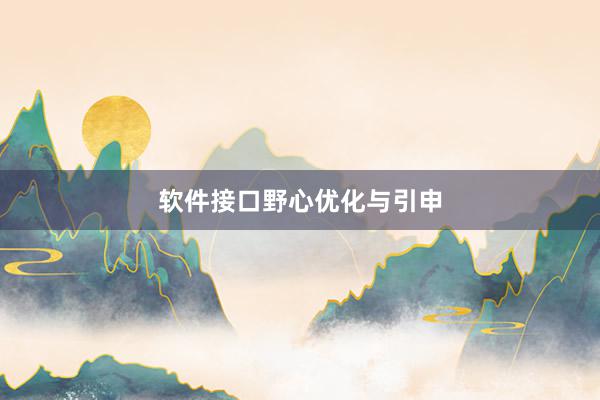 软件接口野心优化与引申